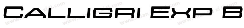 Calligri Exp Bold Italic Bold Itali字体转换